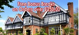 Free Bonus Break Holiday